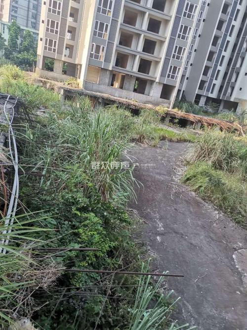 乐至鑫鹏国际最新消息