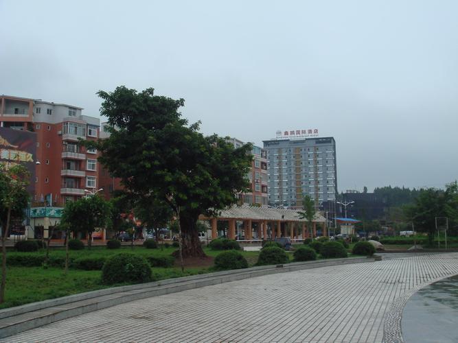 乐至鑫鹏国际最新消息