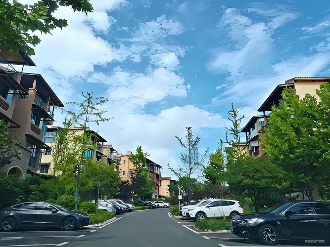 仙女山芳草地房价