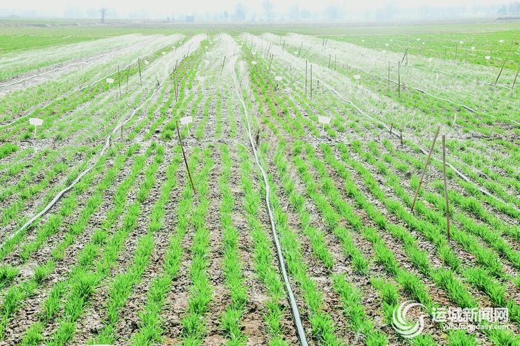 裕华区南王村最新新闻