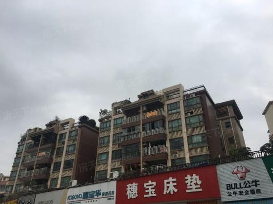 坦洲中澳新城二手房