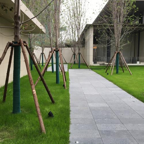 郑州宏福花园最新消息