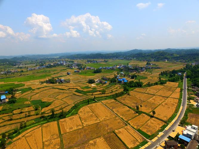 武胜领秀国际最新消息