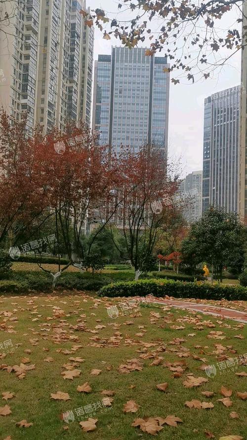 美的林城时代最新消息