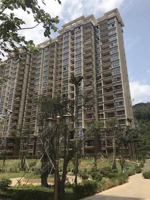 陵水香水国色最新进展