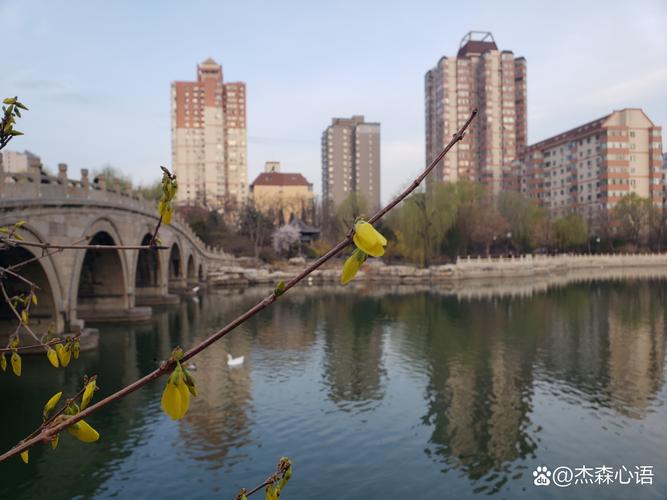 肥城莱茵河畔最新消息