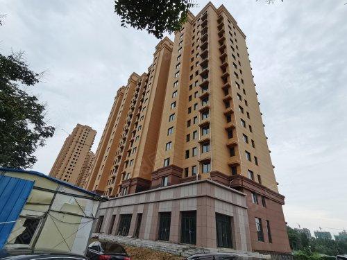 肥城莱茵河畔最新消息