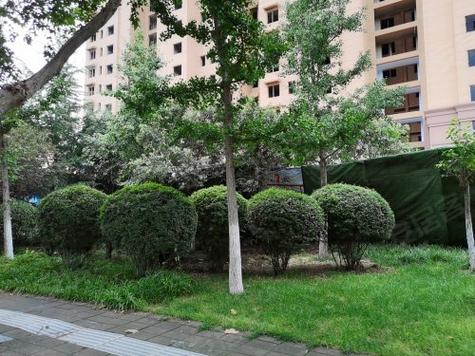 肥城莱茵河畔最新消息