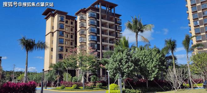 保亭雨林一号最新动态