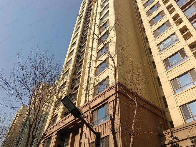 河北隆基泰和最新消息