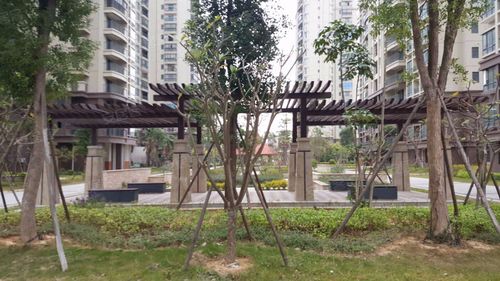 塘城丽景最新房价多少