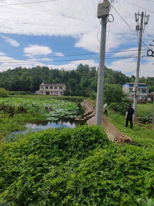 中江县兴隆镇房价