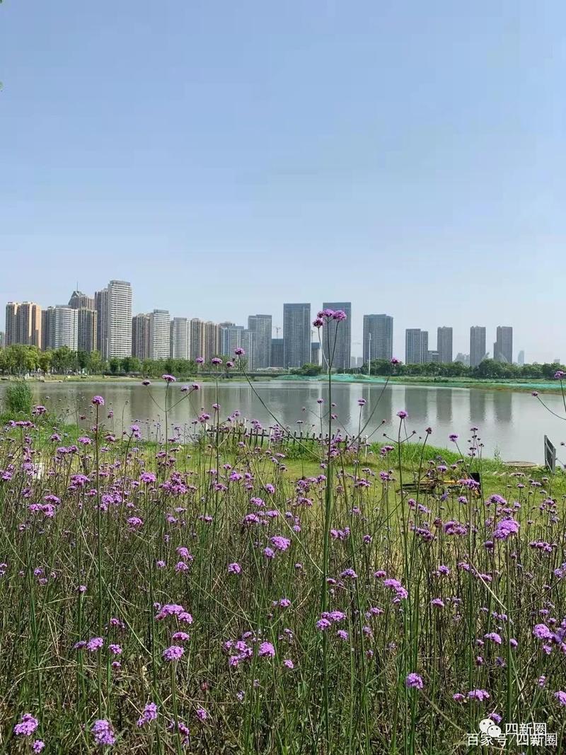 方岛湿地公园最新消息