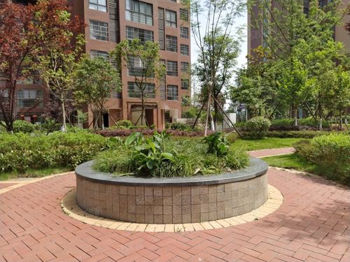 遂宁悦城二期最新动态