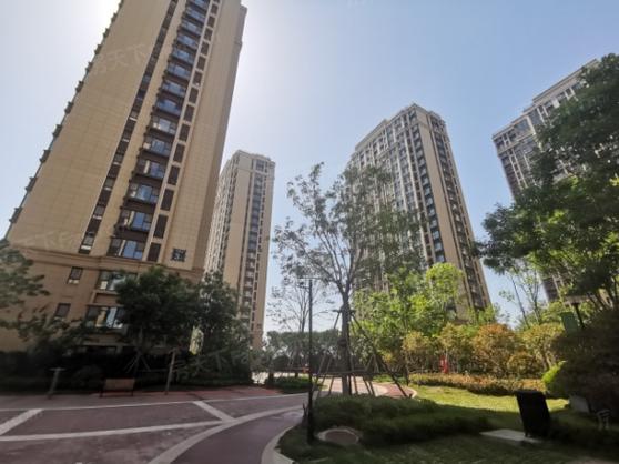 海尔玫瑰兰庭最新消息