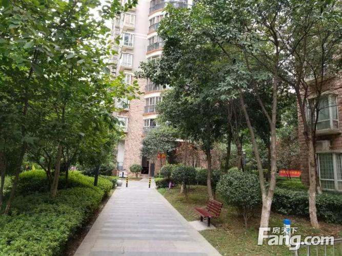 武汉安顺家园房价