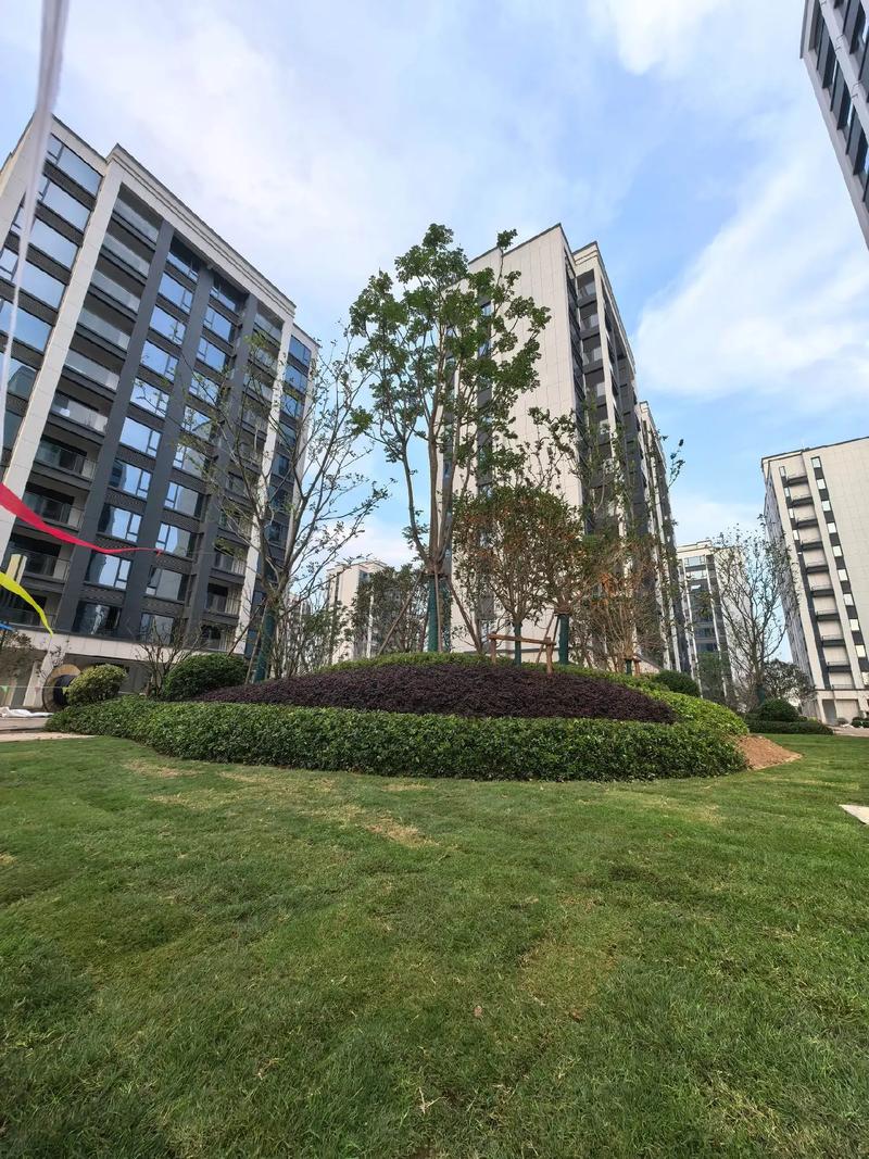 金华步阳华府房价