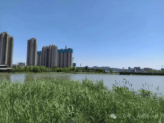 济南天桥北湖最新消息