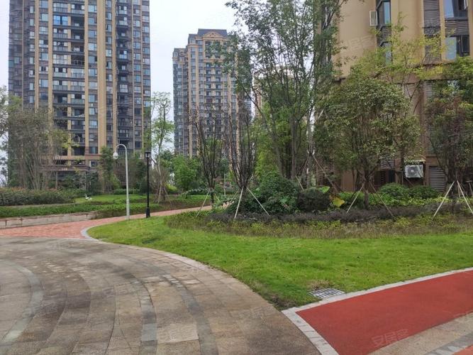 承平盛世三期最新动态