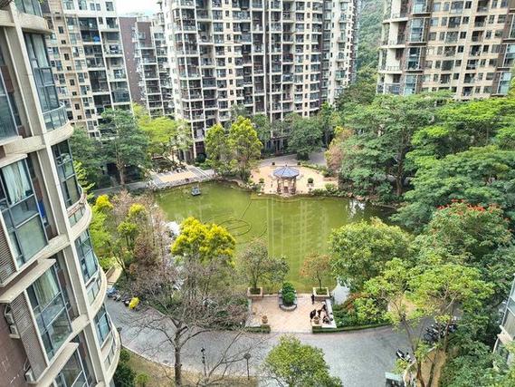 深圳圣莫丽斯房价