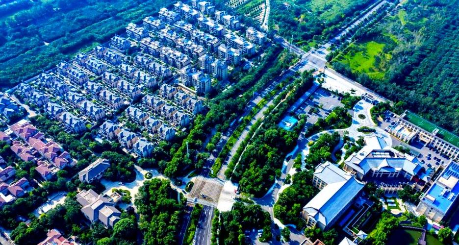 鹿泉山前大道最新进展