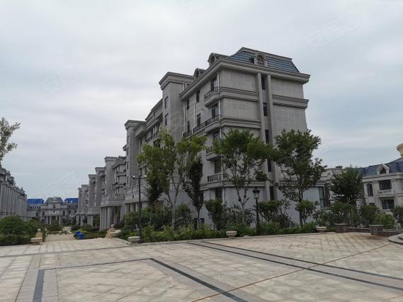 枣庄润扬首府最新消息