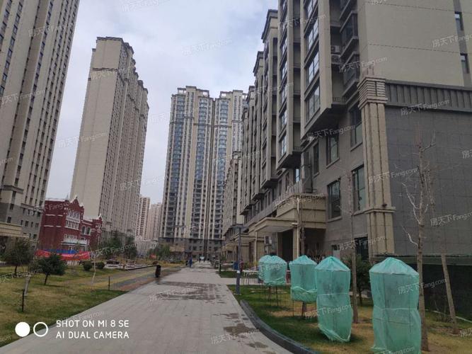 泰林黄河馨苑最新动态