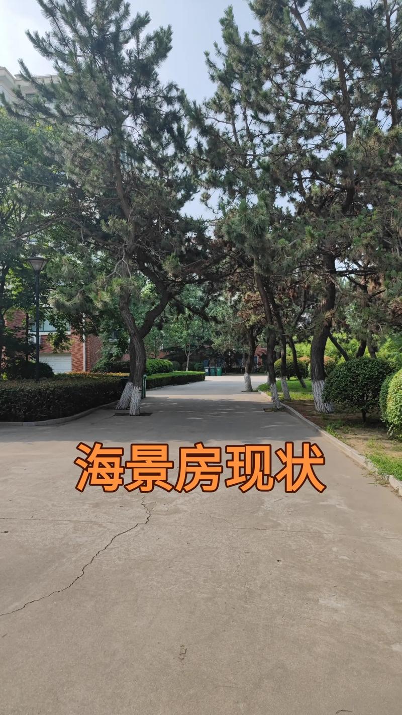 山东威海乳山房价