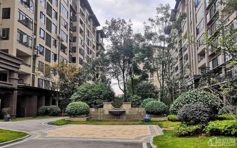 长沙大唐印象最新消息