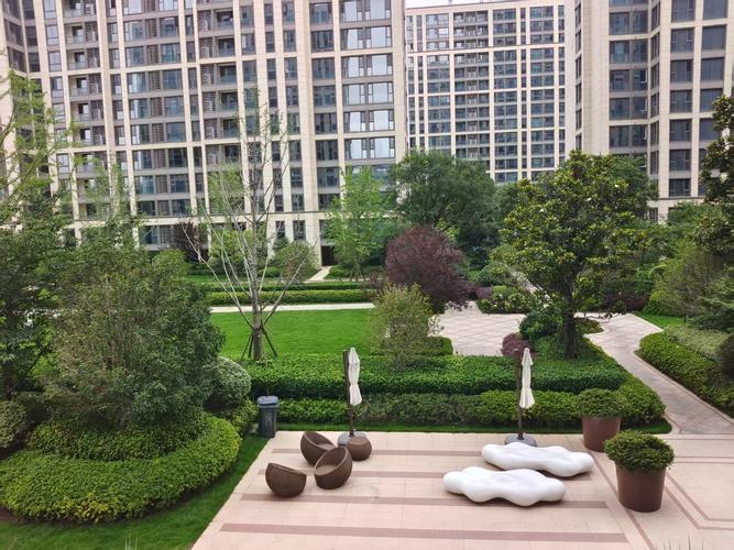 滨江江南之星最新消息