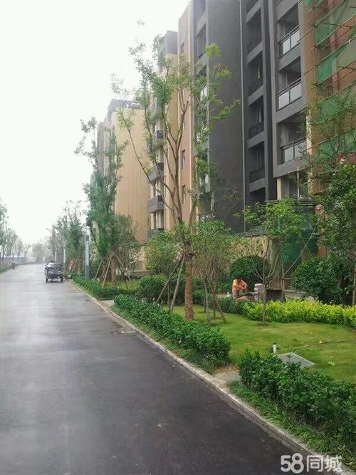 周口联盟新城最新消息