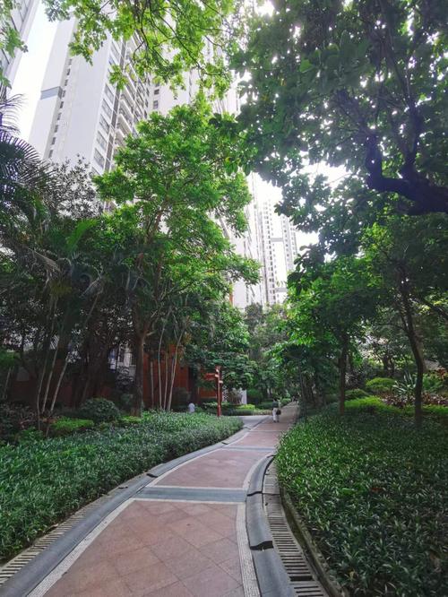 广州东湖映月最新房价