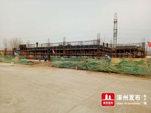 涿州东城坊镇最新新闻