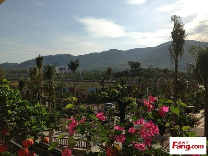 昌江福源小区最新房价