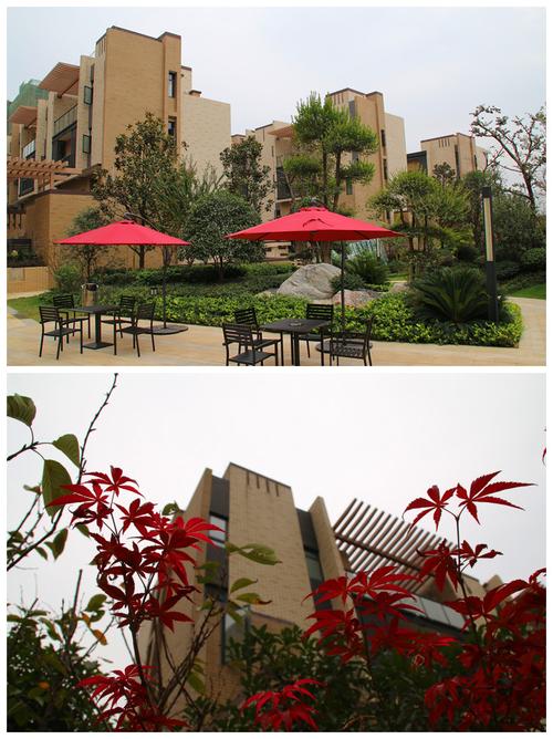 宜昌市梧桐邑最新动态