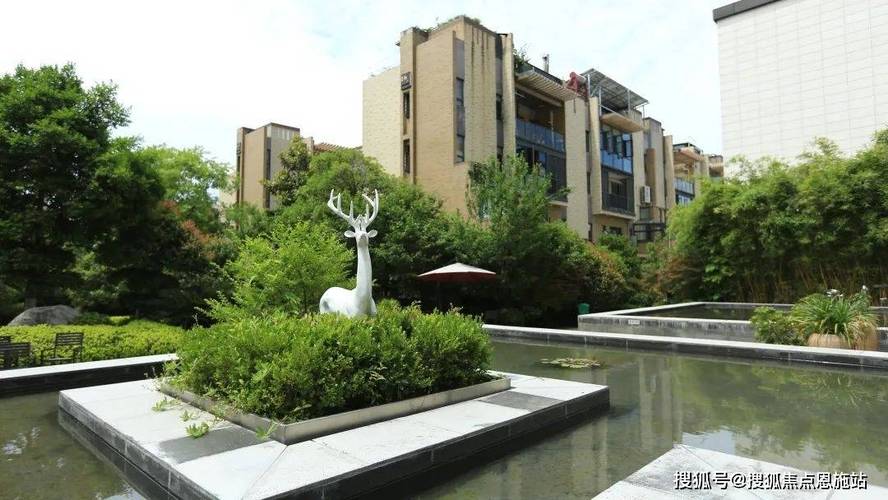 宜昌市梧桐邑最新动态