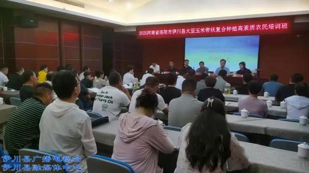 洛阳伊川新闻最新消息