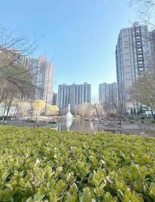 北京观湖国际房价